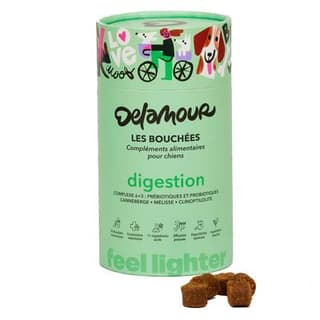 Delamour 90 Bouchées Digestion Compléments alimentaires pour chien, 270g