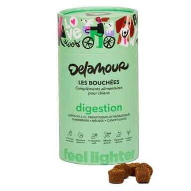 Delamour Compléments alimentaires 90 Bouchées Digestion pour chien, 270g