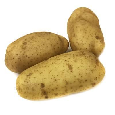 2050000336539 -  - Pomme de terre Four (grosse)