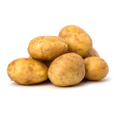  - Pomme de Terre Four