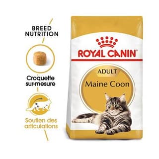 Royal Canin Croquettes sur mesure Soutien des Articulations pour Chat Maine Coon Adulte, 2kg