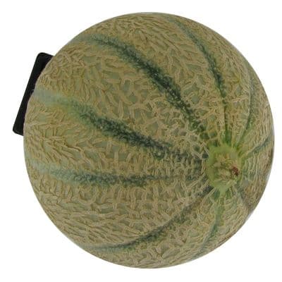 Melon Charentais (gros), 1 pièce