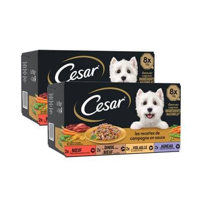 César Barquettes en sauce Recettes de campagne 4 variétés pour chien adulte, Lot de 2 - 8x150g