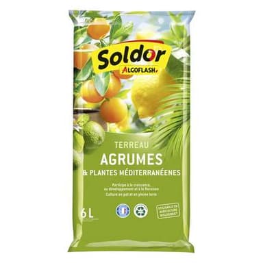 Algoflash Terreau Agrumes et Plantes Méditerranéennes, 6L