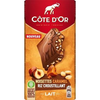 Côte d'Or Chocolat au lait avec morceaux, 170g