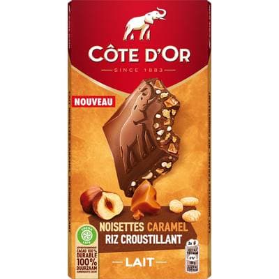 Côte d'Or Chocolat au lait avec morceaux, 170g
