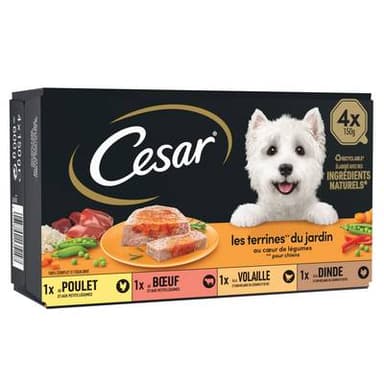 César Barquettes Terrines du Jardin Coeur de Légumes 4 variétés pour Chien Adulte, 4x150g
