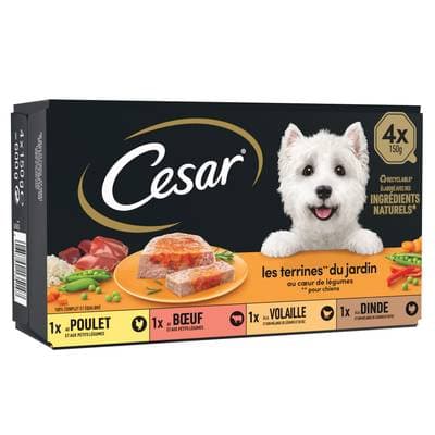 César Barquettes Terrines du Jardin Coeur de Légumes 4 variétés pour Chien Adulte, 4x150g