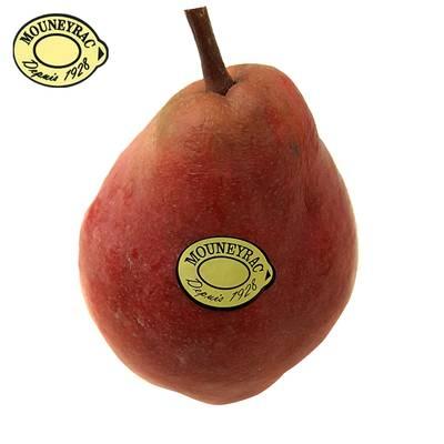2050000332548 - Mouneyrac - Poire William rouge