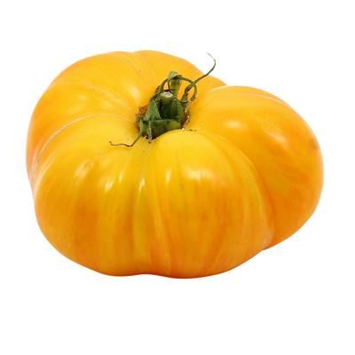  - Tomate Ananas 