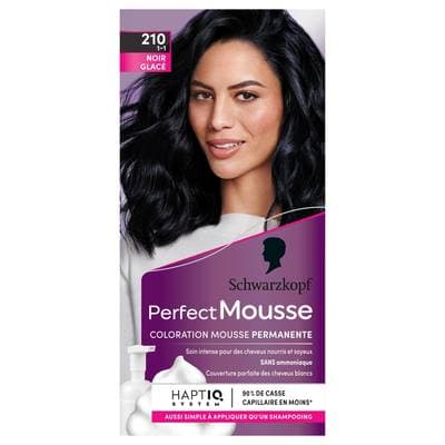 Perfect Mousse Coloration Permanente 210 Noir Glacé, 1 pièce