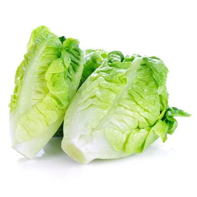 Salade Sucrine, Sachet de 3  Pièces