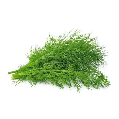 Aneth, Sachet de 30g