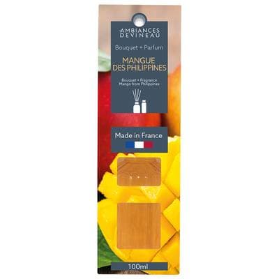 Ambiances Devineau Bouquet Mangue des Philippine + recharge, 100ml
