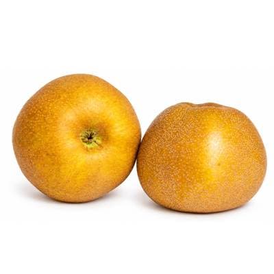 Thomas Le Prince Pomme Canada