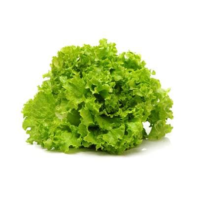 Salade Batavia Bio, 1 pièce