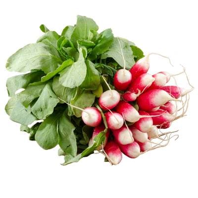 Fermes Debout  Radis Rose Local, 1 botte