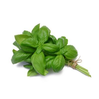 2050000357268 -  - Basilic