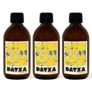 Datxa Kombucha Maté Gingembre Bio, Lot de 3x30cl