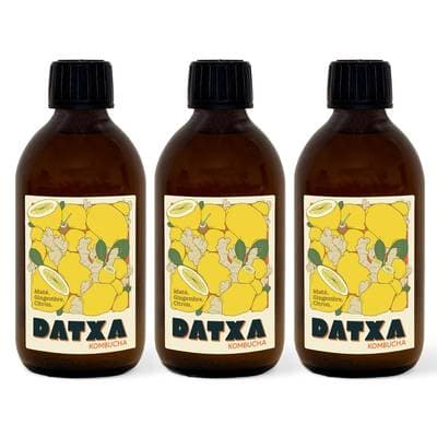 Datxa Kombucha Maté Gingembre Bio, Lot de 3x30cl