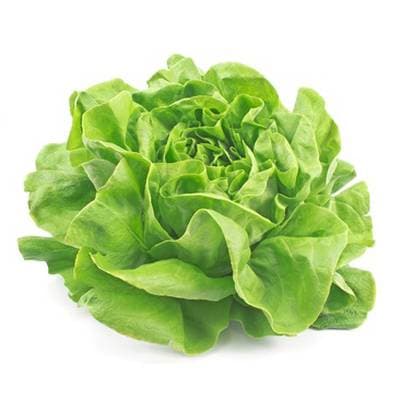 Salade Laitue Bio, 1 pièce