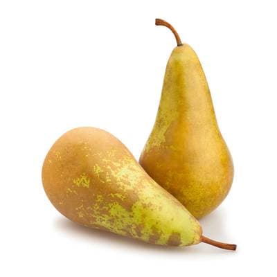 Poire Conférence