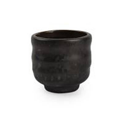 5410595755165 - SP Collection - Bol/chope Oishi