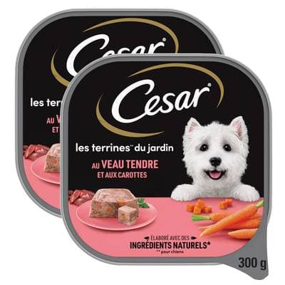 César Barquette Terrine du Jardin Veau et Carottes pour chien adulte, Lot de 2x300g