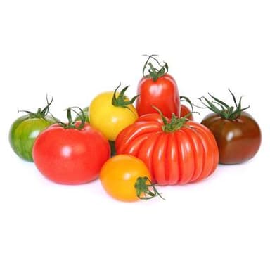 Saveol Tomates d'Antan, Colis de 3,5kg