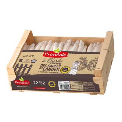 Priméale Asperge Blanche (moyenne)
