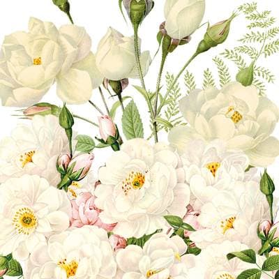 Paperproducts Design Serviette en papier Roses blanches, 20 serviettes de 33 x 33 cm