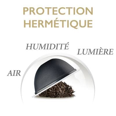 7613035409668 - Special T By Nestle - Thé noir good morning sunshine