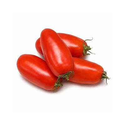 Saveol Tomate allongée Torino