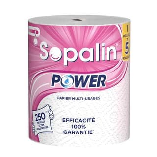 Sopalin Essuie tout Power 1= 5, 1 rouleau