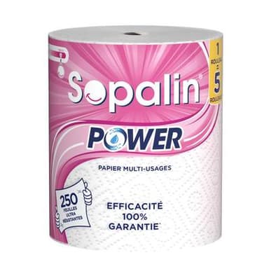 Sopalin Essuie tout Power 1= 5, 1 rouleau