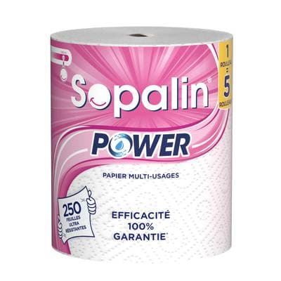 Sopalin Essuie tout Power 1= 5, 1 rouleau
