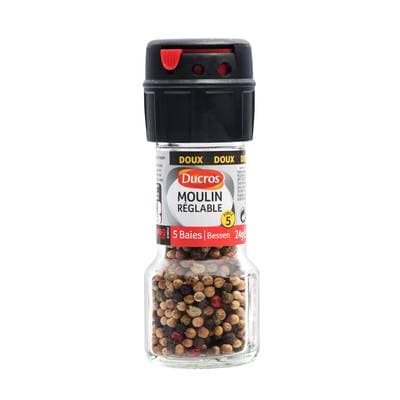 Ducros Moulin réglable 5 baies doux, 24g