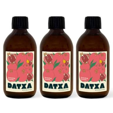 Datxa Kombucha Darjeeling Bio, Lot de 3x30cl