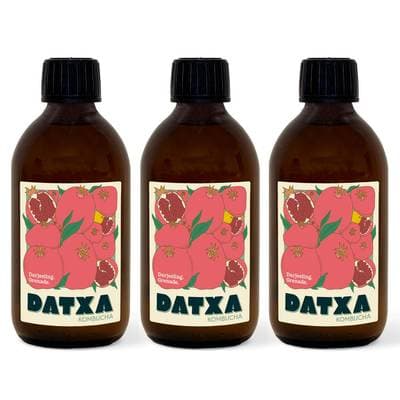 Datxa Kombucha Darjeeling Bio, Lot de 3x30cl