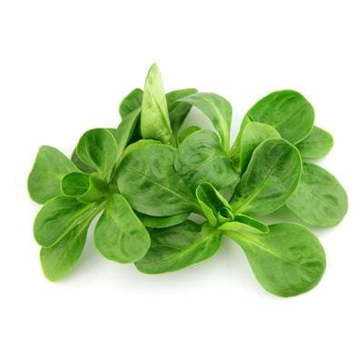 Mâche Jeune Pousse, Barquette de 125g