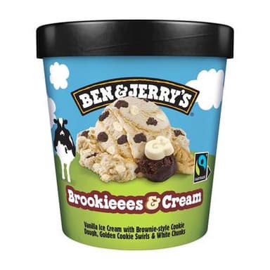 Ben&Jerry's Glace en pot brookies cream, 388g