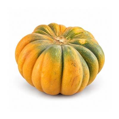 Courge Muscade, 1 pièce