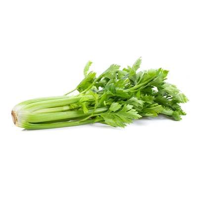 Les Paysans Bio Céleri Branche Bio, Entre 600g et 1 kilo