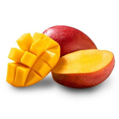 Oxa-Exotic Mangue Kent Avion, 1 Pièce