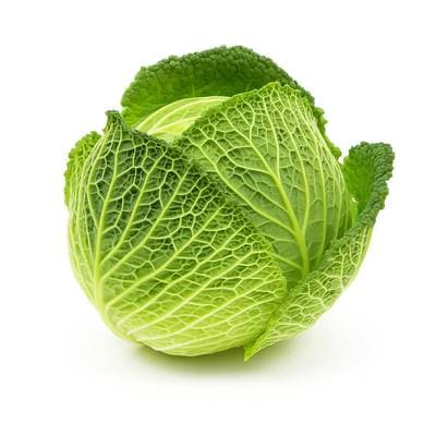 Les Paysans Bio Chou Vert Frisé Bio, 1 Pièce