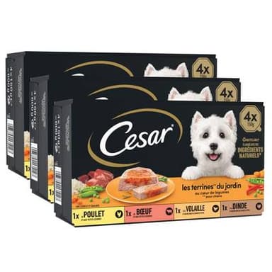 César Barquettes Terrines du Jardin Coeur de Légumes 4 variétés pour Chien Adulte, Lot de 3 - 4x150g