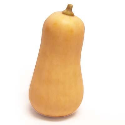 2050000425790 - Fermes Debout  - Courge Butternut Locale 