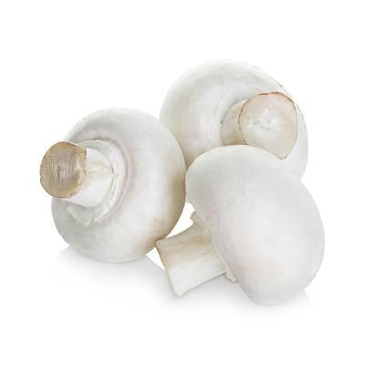 3700552800994 -  - Champignon de Paris Blanc