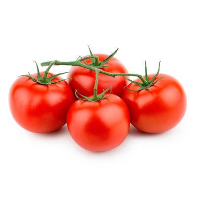 Saveol - Tomate grappe 