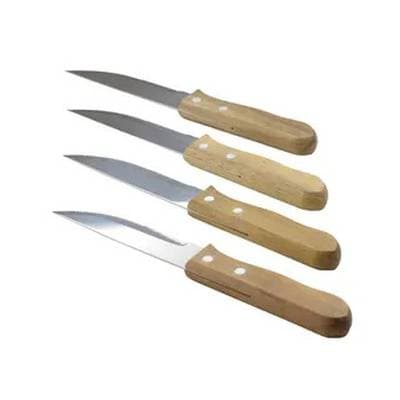 Point virgule Set de 4 couteaux à steak jumbo avec poignée en bois d'acacia, 4 pièces